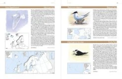European Breeding Bird Atlas 2 -Rode Sales Store 250838 3