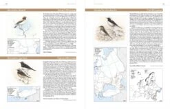 European Breeding Bird Atlas 2 -Rode Sales Store 250838 6