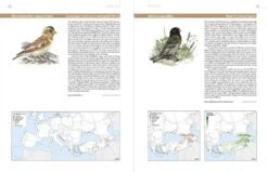 European Breeding Bird Atlas 2 -Rode Sales Store 250838 7