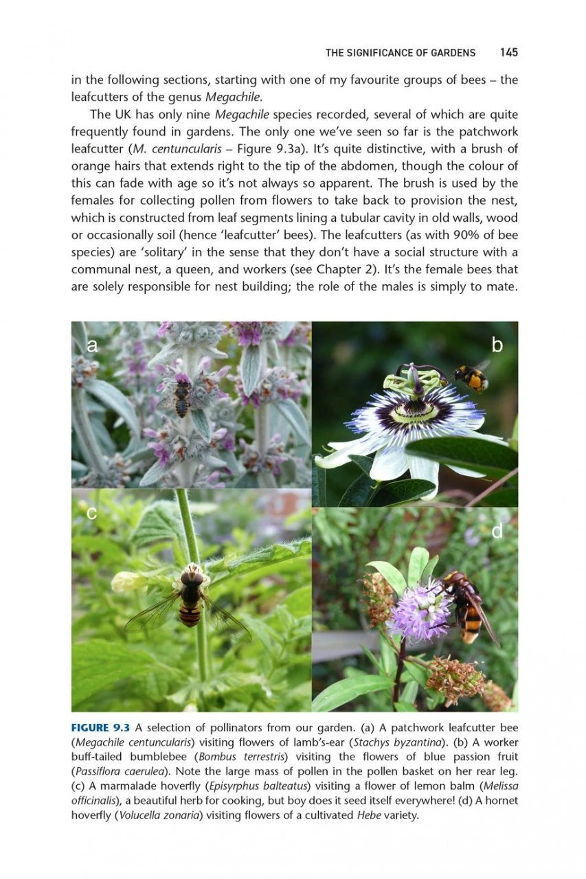 Pollinators & Pollination 9 Pollinators & Pollination - Image 9