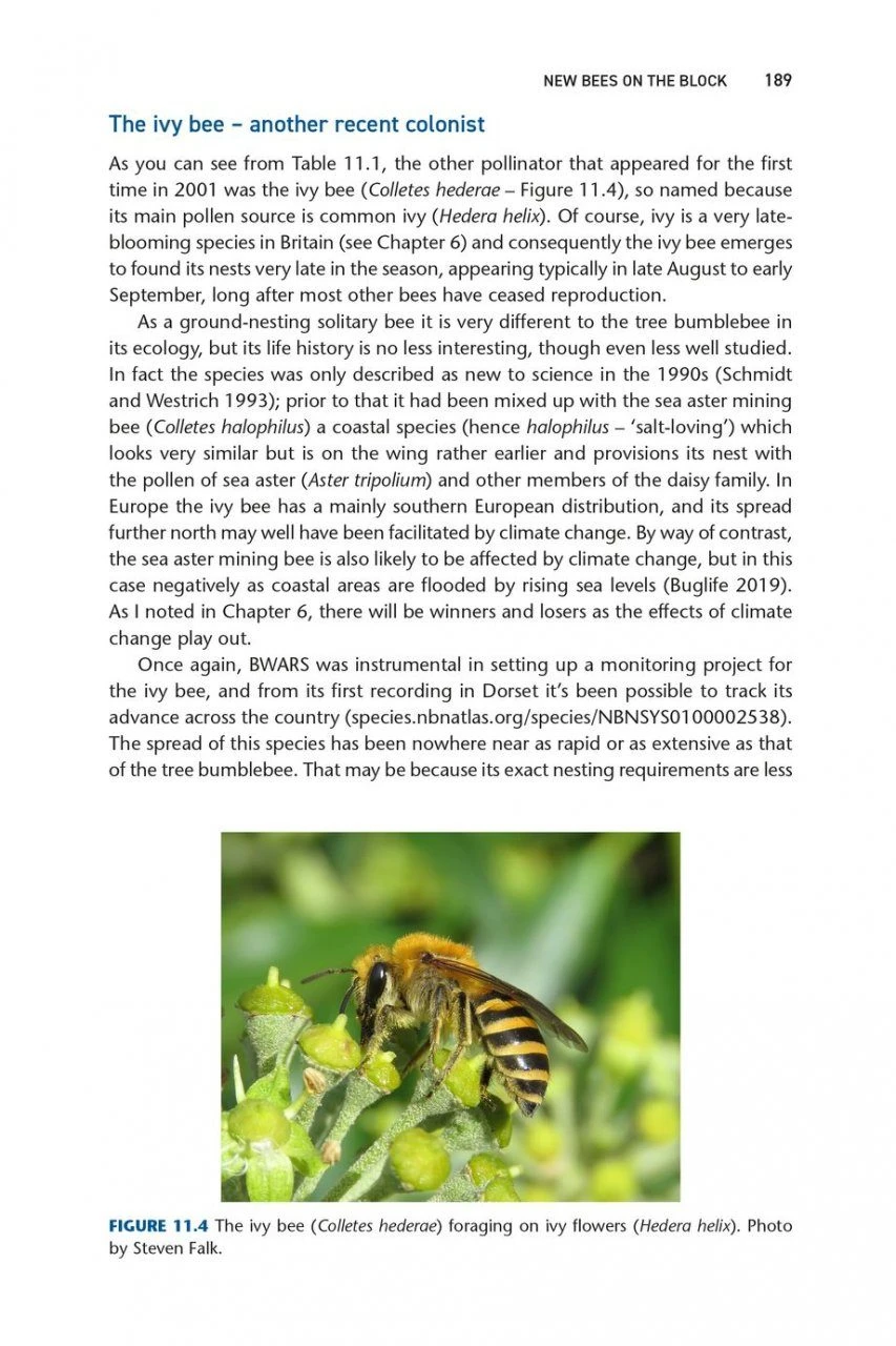 Pollinators & Pollination 10 Pollinators & Pollination - Image 10