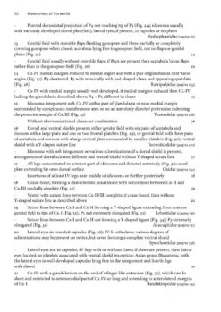 Water Mites Of The World -Rode Sales Store 252264 2