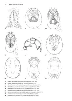 Water Mites Of The World -Rode Sales Store 252264 4