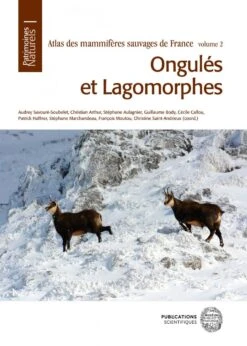 Atlas Des Mammifères Sauvages De France, Volume 2: Ongulés Et Lagomorphes [Atlas Of Wild Mammals Of France, Volume 2: Ungulates And Lagomorphs]