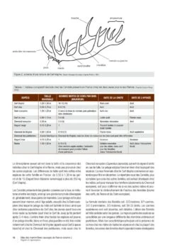 Atlas Des Mammifères Sauvages De France, Volume 2: Ongulés Et Lagomorphes [Atlas Of Wild Mammals Of France, Volume 2: Ungulates And Lagomorphs] -Rode Sales Store 252352 03