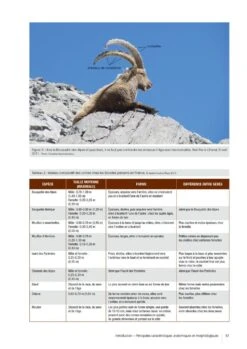 Atlas Des Mammifères Sauvages De France, Volume 2: Ongulés Et Lagomorphes [Atlas Of Wild Mammals Of France, Volume 2: Ungulates And Lagomorphs] -Rode Sales Store 252352 04