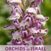Orchids Of Israel
