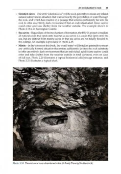 Bat Roosts In Rock -Rode Sales Store 253048 2