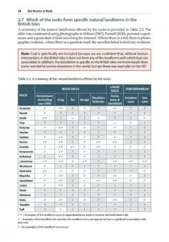 Bat Roosts In Rock -Rode Sales Store 253048 3