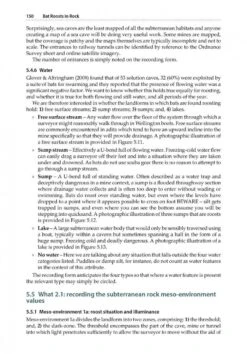 Bat Roosts In Rock -Rode Sales Store 253048 6