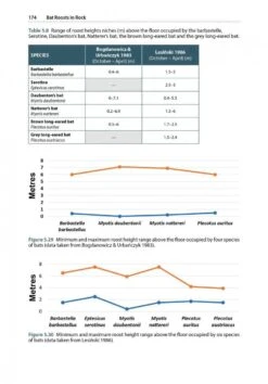 Bat Roosts In Rock -Rode Sales Store 253048 8
