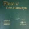 Flora Of Pan-Himalaya, Volume 48(3): Asteraceae III: Tribe Mutisieae, Tribe Hyalideae, Tribe Pertyeae
