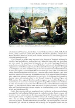 Ancient Woods, Trees & Forests -Rode Sales Store 253275 2