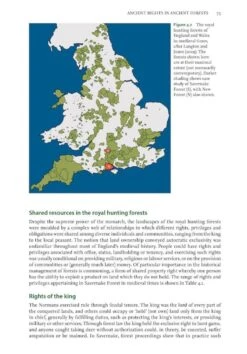 Ancient Woods, Trees & Forests -Rode Sales Store 253275 5