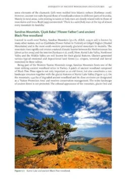 Ancient Woods, Trees & Forests -Rode Sales Store 253275 8