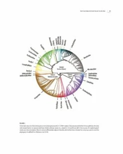 Tropical Deep-Sea Benthos, Volume 32 -Rode Sales Store 254936 02