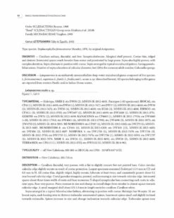 Tropical Deep-Sea Benthos, Volume 32 -Rode Sales Store 254936 07