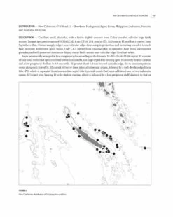 Tropical Deep-Sea Benthos, Volume 32 -Rode Sales Store 254936 12