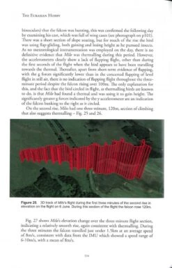 The Eurasian Hobby -Rode Sales Store 255030 2