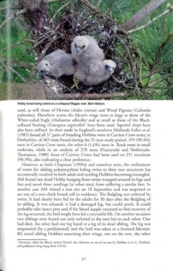 The Eurasian Hobby -Rode Sales Store 255030 3