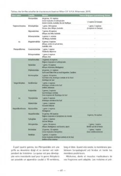 Les Chauves-Souris De France, Belgique, Luxembourg & Suisse [Bats Of France, Belgium, Luxembourg And Switzerland] -Rode Sales Store 255086 04