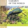 Carabus Of The World