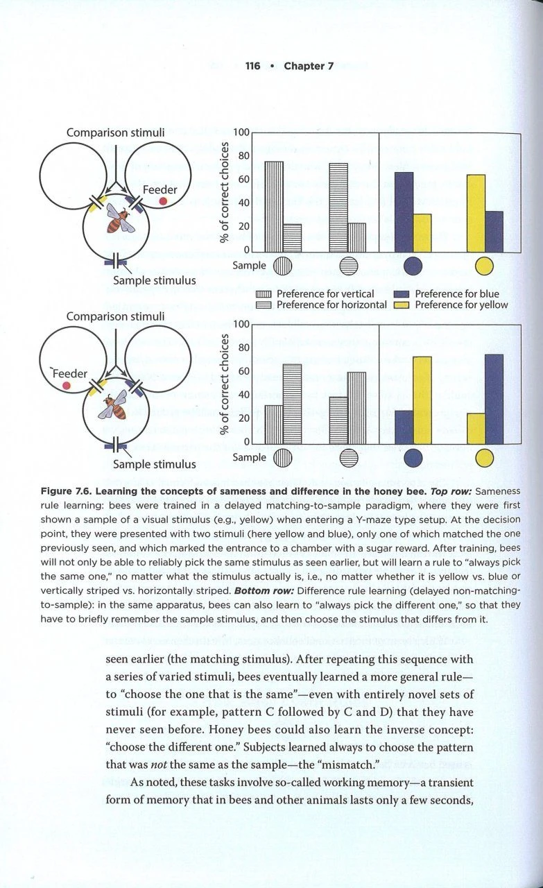 The Mind Of A Bee 3 The Mind Of A Bee - Image 3