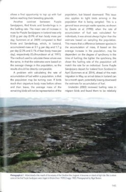 The Purple Sandpiper -Rode Sales Store 255991 3