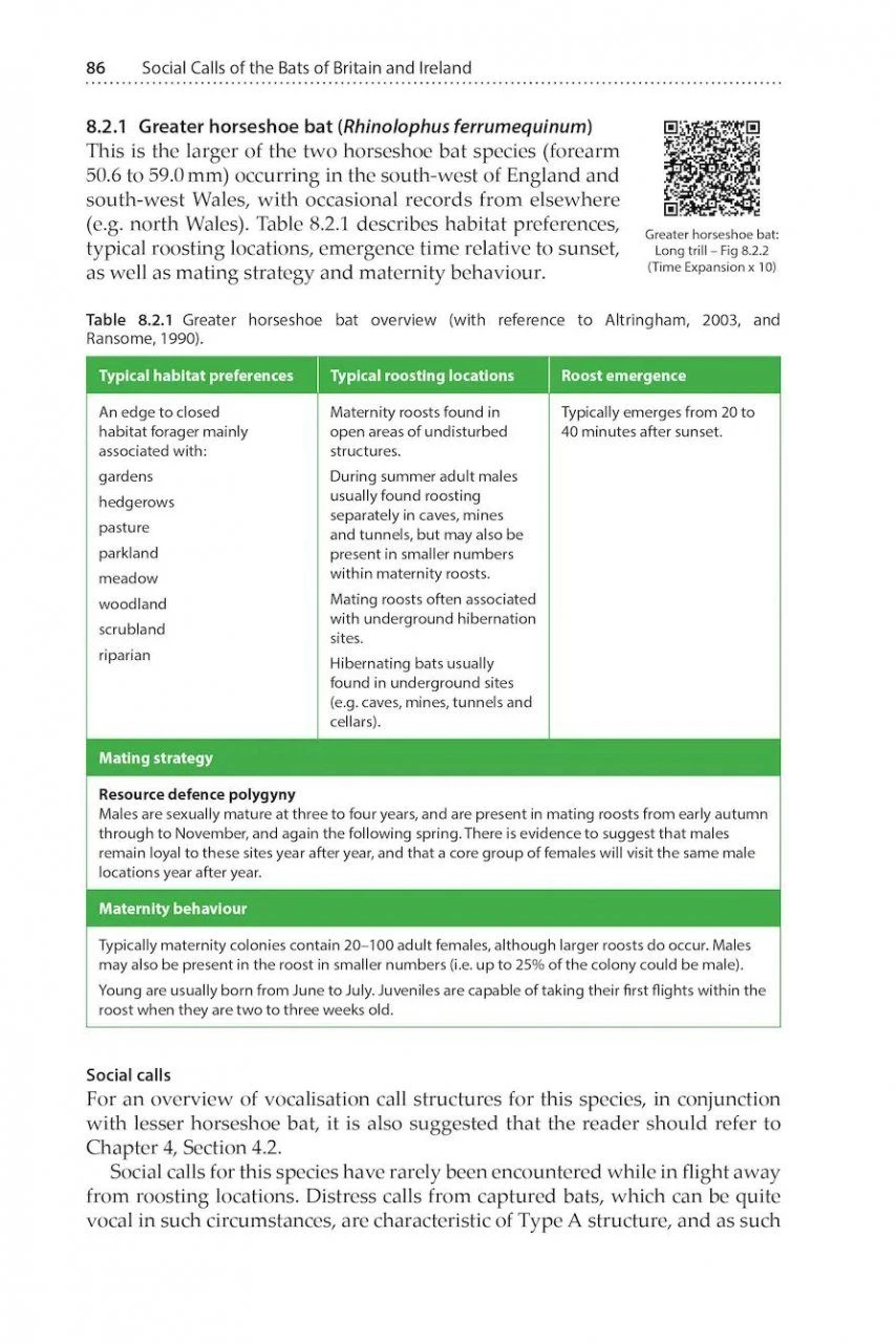 Social Calls Of The Bats Of Britain And Ireland 6 Social Calls Of The Bats Of Britain And Ireland - Image 6