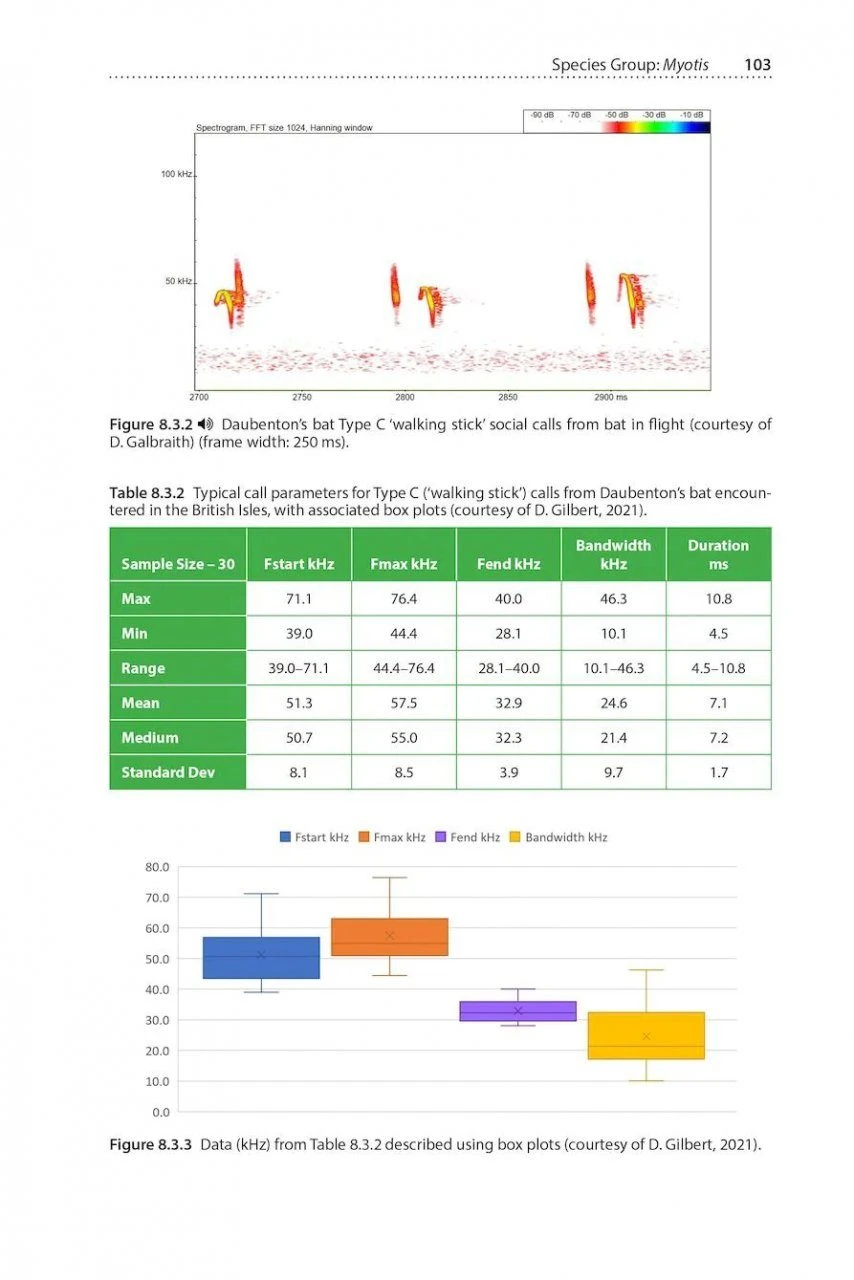 Social Calls Of The Bats Of Britain And Ireland 8 Social Calls Of The Bats Of Britain And Ireland - Image 8