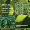 List Of Names Of Woody Plants / Naamlijst Van Houtige Gewassen / Namenliste Gehölze / Liste Des Noms Des Plantes Ligneuses