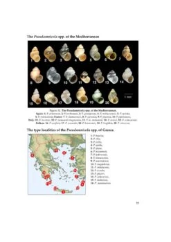 The Freshwater Gastropods Of The West-Palaearctis, Volume 3 -Rode Sales Store 257165 08