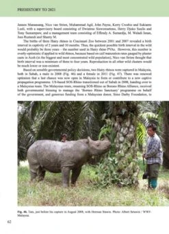 The Hairy Rhinoceros 8 The Hairy Rhinoceros -Rode Sales Store 257740 3