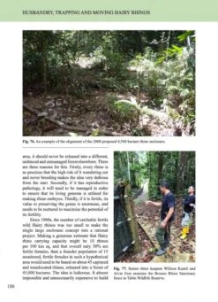 The Hairy Rhinoceros 9 The Hairy Rhinoceros -Rode Sales Store 257740 4