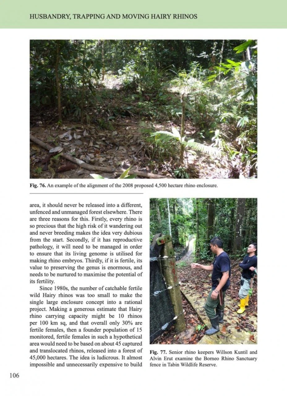 The Hairy Rhinoceros 5 The Hairy Rhinoceros - Image 5