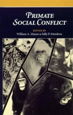 Primate Social Conflict