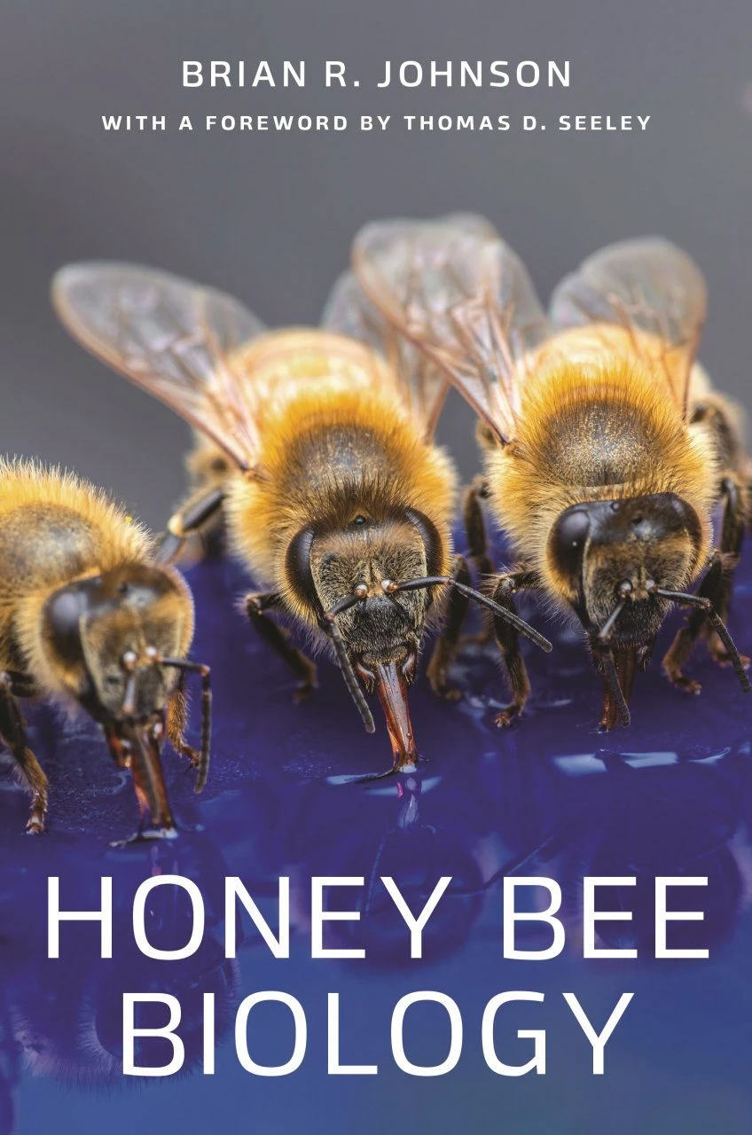Honey Bee Biology 1 Honey Bee Biology