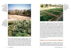 Les Palmes Du Savoir-Faire: La Vannerie Dans Les Oasis Du Sahara [The Palms Of Know-How: Basketry In The Oases Of The Sahara] -Rode Sales Store 259023 3
