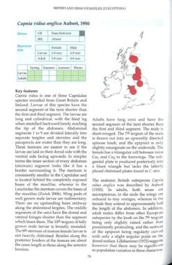 British And Irish Stoneflies (Plecoptera) -Rode Sales Store 259572 2