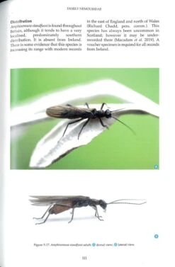 British And Irish Stoneflies (Plecoptera) -Rode Sales Store 259572 3