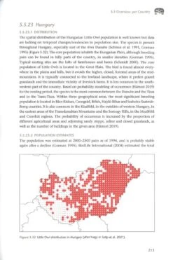 The Little Owl 14 The Little Owl -Rode Sales Store 260204 4