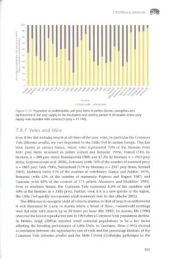 The Little Owl 15 The Little Owl -Rode Sales Store 260204 5