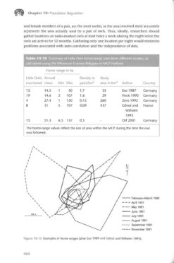 The Little Owl 17 The Little Owl -Rode Sales Store 260204 7