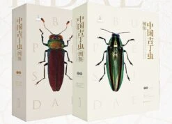 An Iconography Of Chinese Buprestidae (Coleoptera) (2-Volume Set) [English / Chinese]