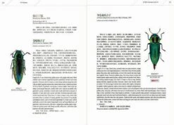 An Iconography Of Chinese Buprestidae (Coleoptera) (2-Volume Set) [English / Chinese] -Rode Sales Store 260263 4