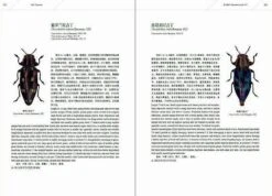 An Iconography Of Chinese Buprestidae (Coleoptera) (2-Volume Set) [English / Chinese] -Rode Sales Store 260263 5