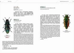 An Iconography Of Chinese Buprestidae (Coleoptera) (2-Volume Set) [English / Chinese] -Rode Sales Store 260263 6