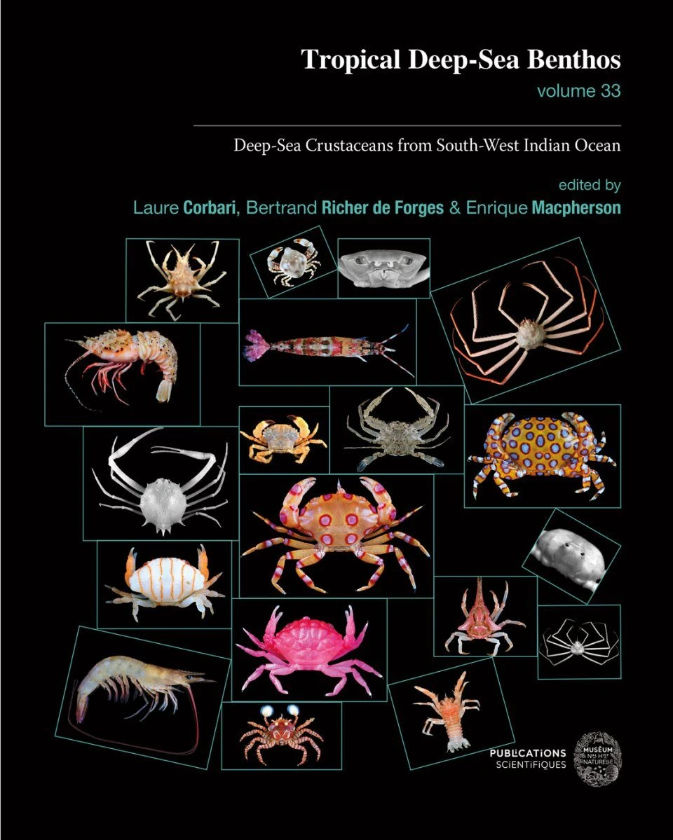 Tropical Deep-Sea Benthos, Volume 33 1 Tropical Deep-Sea Benthos, Volume 33