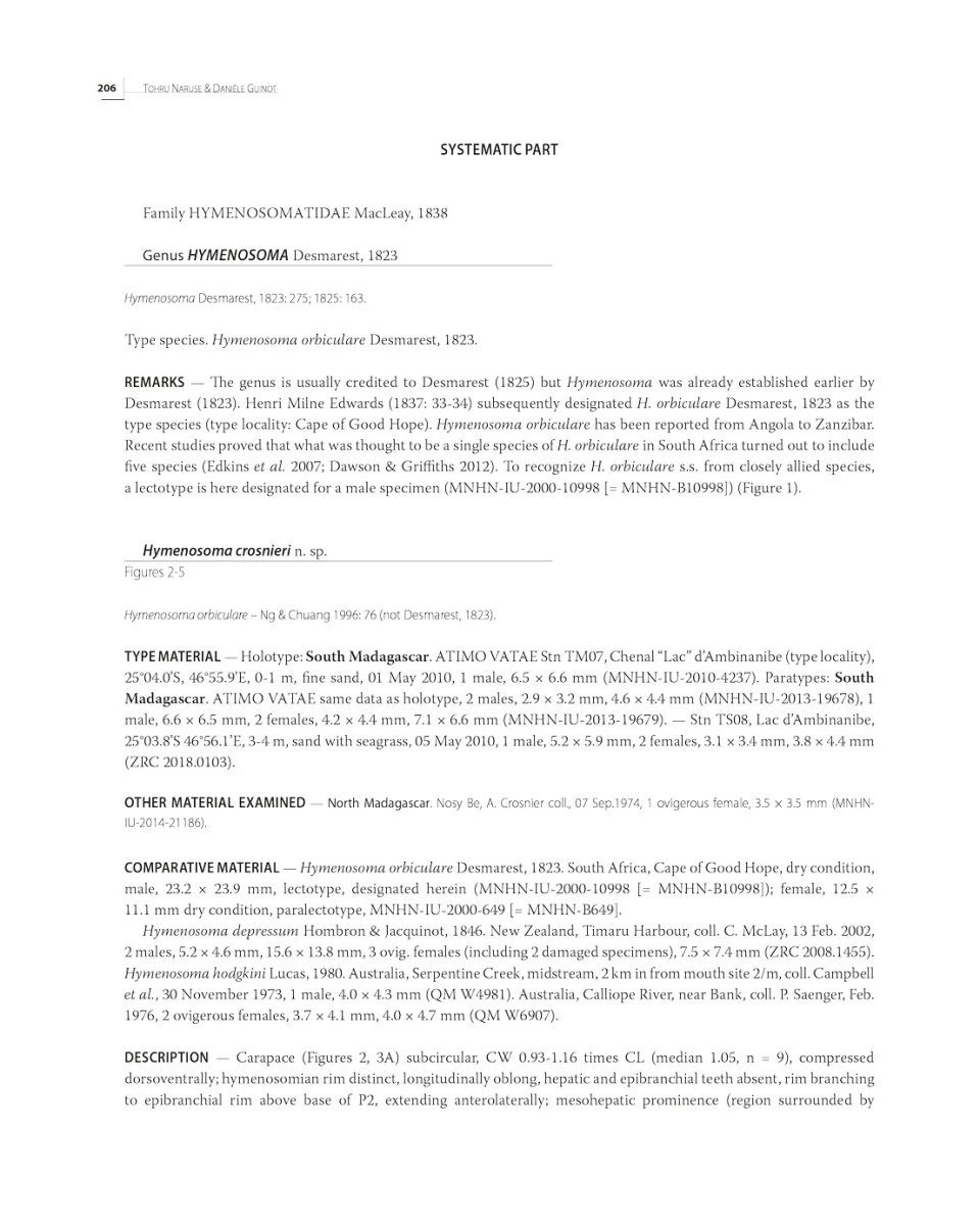 Tropical Deep-Sea Benthos, Volume 33 4 Tropical Deep-Sea Benthos, Volume 33 - Image 4