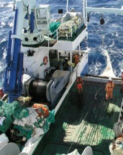 Tropical Deep-Sea Benthos, Volume 33 24 Tropical Deep-Sea Benthos, Volume 33 -Rode Sales Store 260267 09